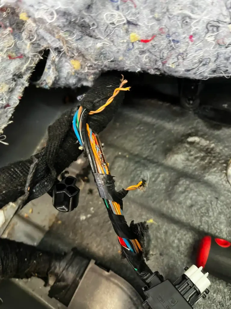 What is an Electrical Diagnostic? 2 Image of wiring harness damaged by rodent infestation